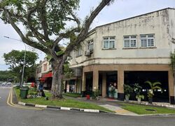 Upper Thomson Road (D26), Shop House #604860201